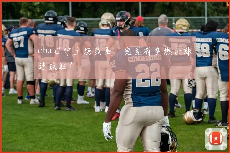 cba辽宁主场氛围，究竟有多燃让球迷疯狂？