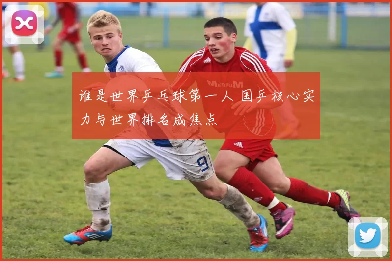 谁是世界乒乓球第一人 国乒核心实力与世界排名成焦点