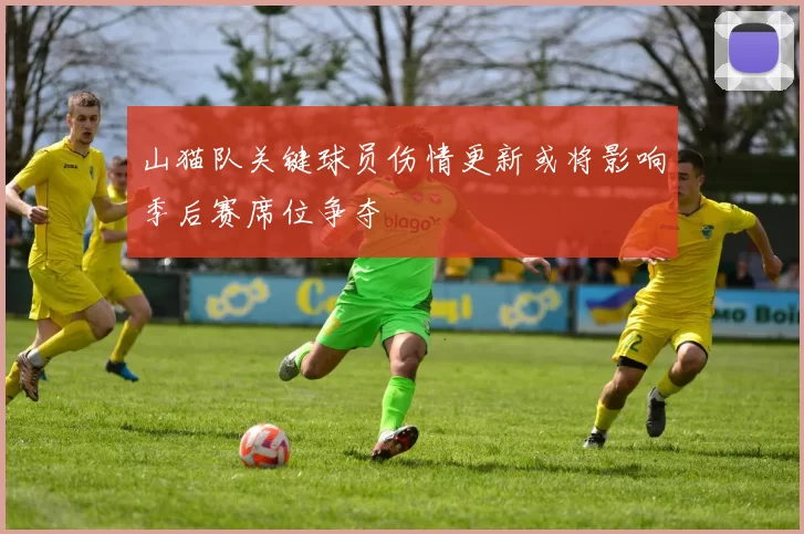 山猫队关键球员伤情更新或将影响季后赛席位争夺