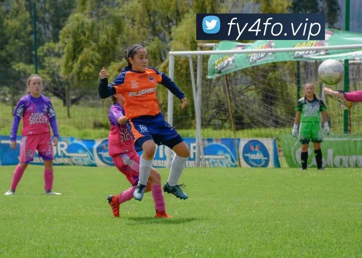 开云(中国)Kaiyun·官方网站 - 科技股份有限公司服务体系