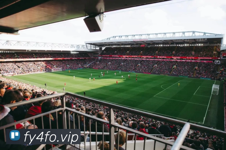 多媒体互动体验