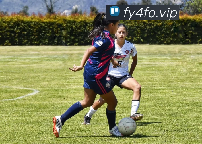 开云(中国)Kaiyun·官方网站 - 科技股份有限公司APP 体育赛事宣传图